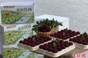 命盘排盘高速赋能产业升级：一条“杨梅路”的致富密码