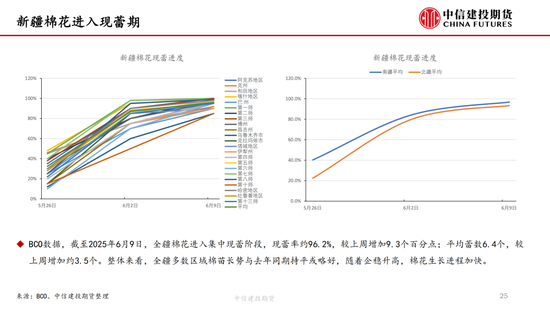 【棉花纺谈】供(💯)应端阶段性缩量 疆棉基差(⛱)坚挺